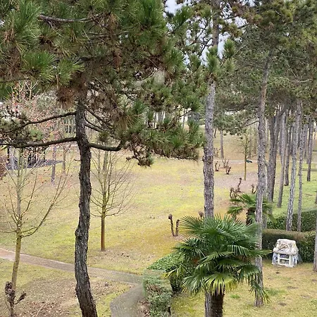 Apartment In 49970 Bibione