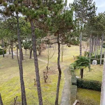 Apartamento In 49970