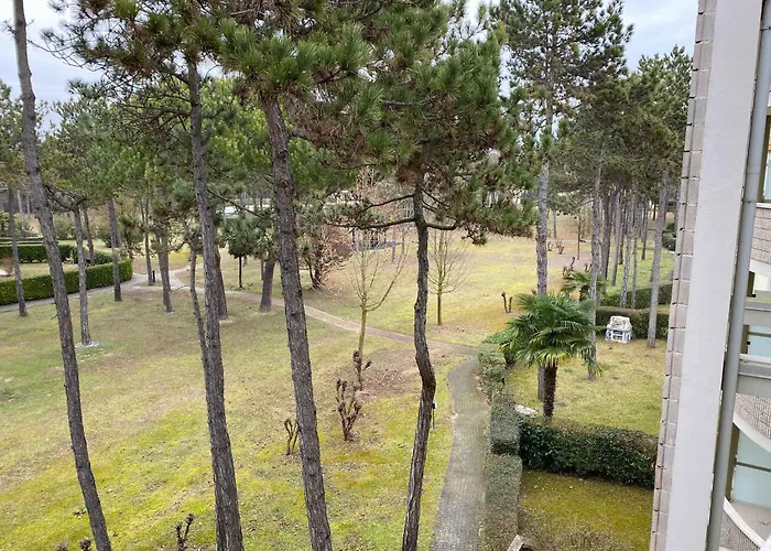 Apartamento In 49970