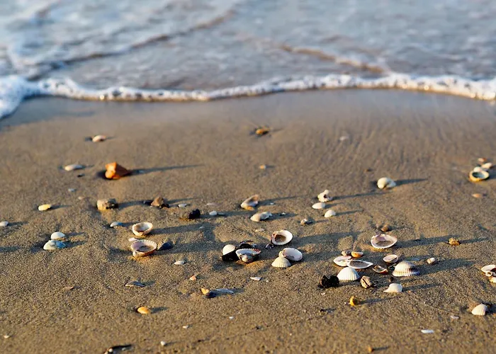 Apartment In 49970 *